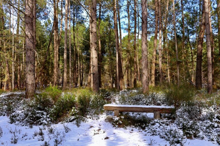 Sitting on the bench…