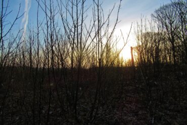 Le printemps est arrivé, sors de ta maison