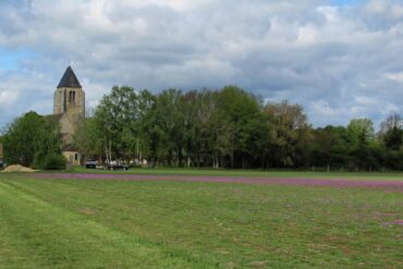 Pen Ar Quinquis ou La tête de branche…