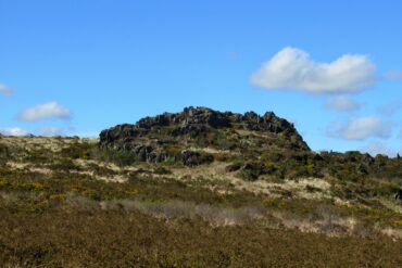 La feuillée et les monts